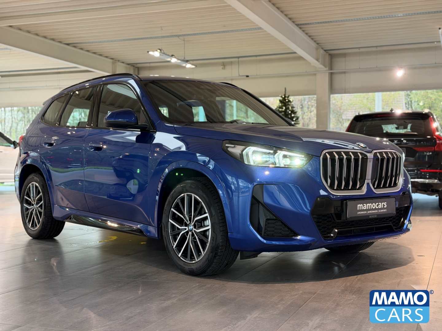 Fahrzeugabbildung BMW X1 18i M Sport sDrive CAM/LED/NAVI/SHZ/ALCAN.
