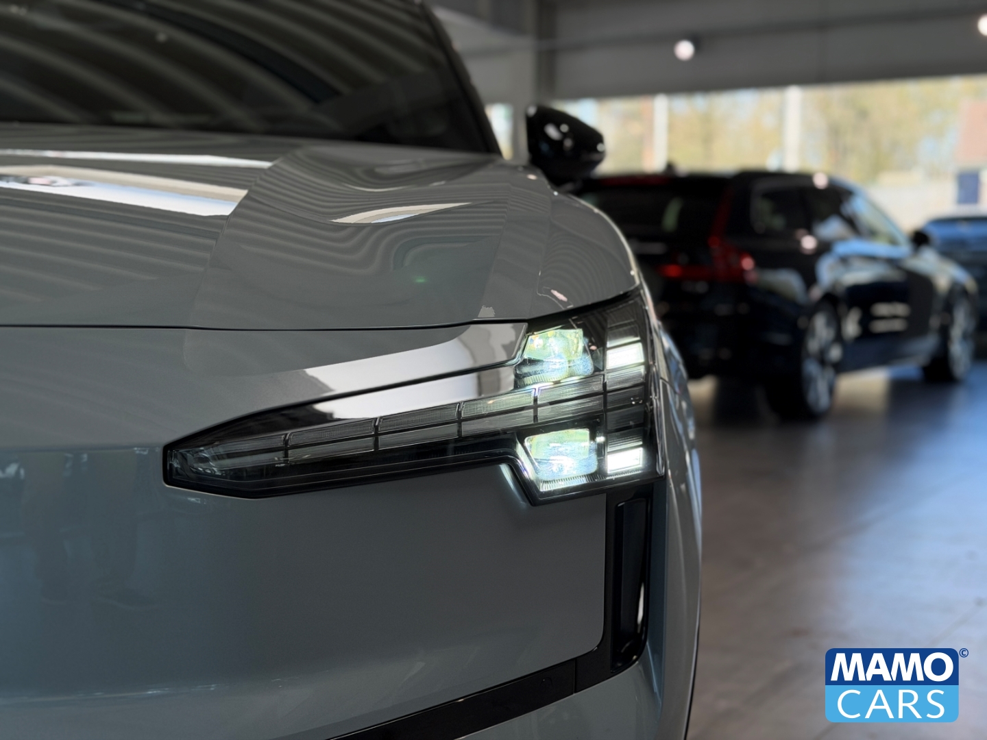 Fahrzeugabbildung Volvo EX30 Ultra Twin Engine WP/ACC/BLIS/360°/PANO