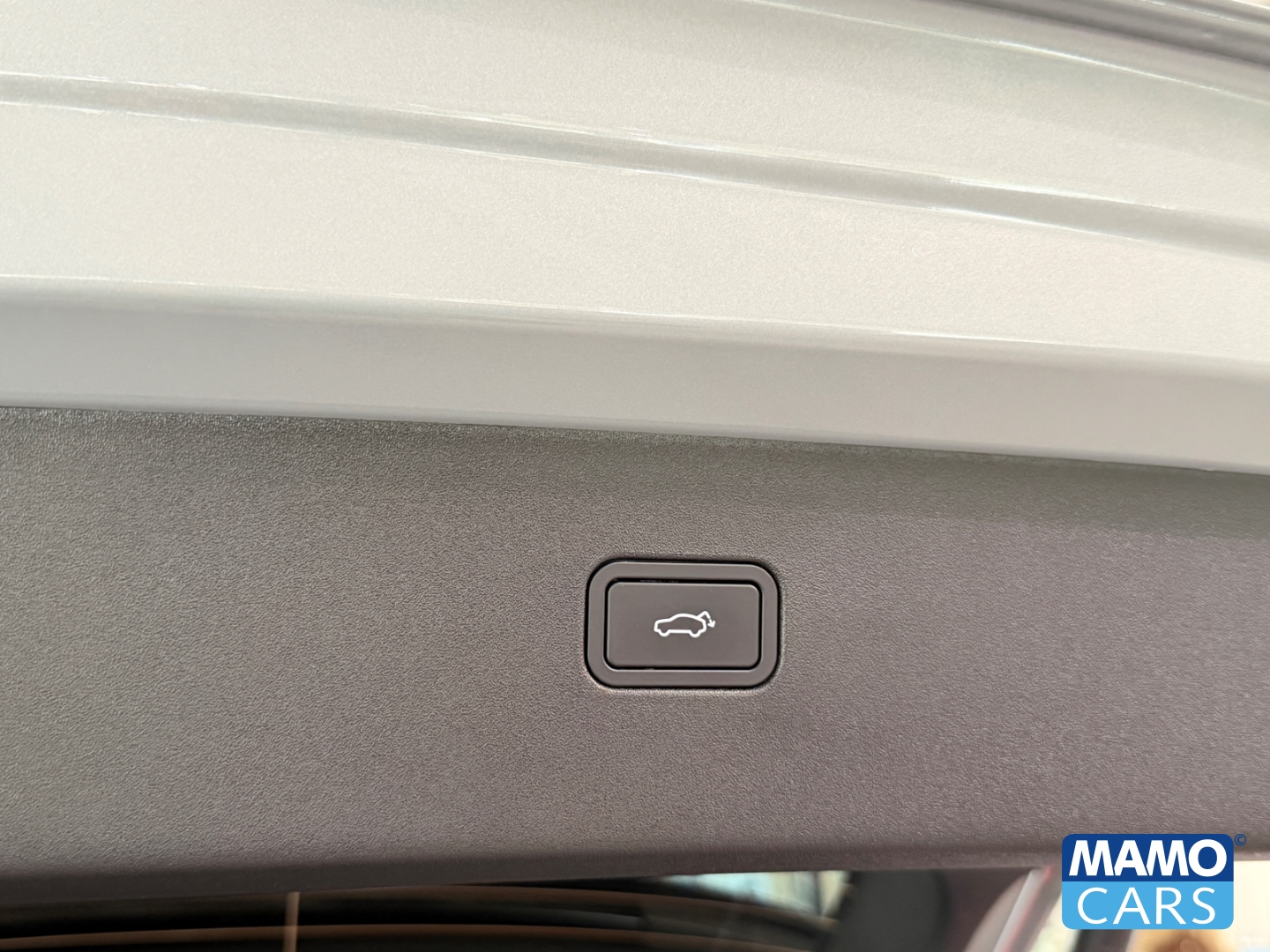 Fahrzeugabbildung Volvo EX30 Ultra Twin Performance WP/ACC/PANO/SHZ/360°