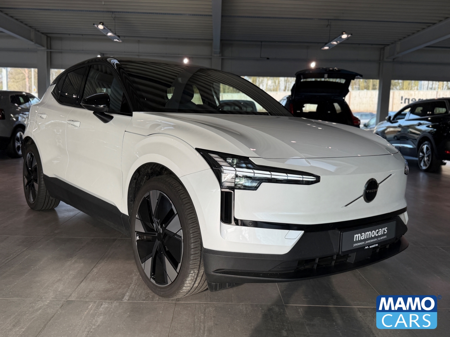 Fahrzeugabbildung Volvo EX30 Plus AWD TWIN Performance WP/ACC/BLIS/CAM