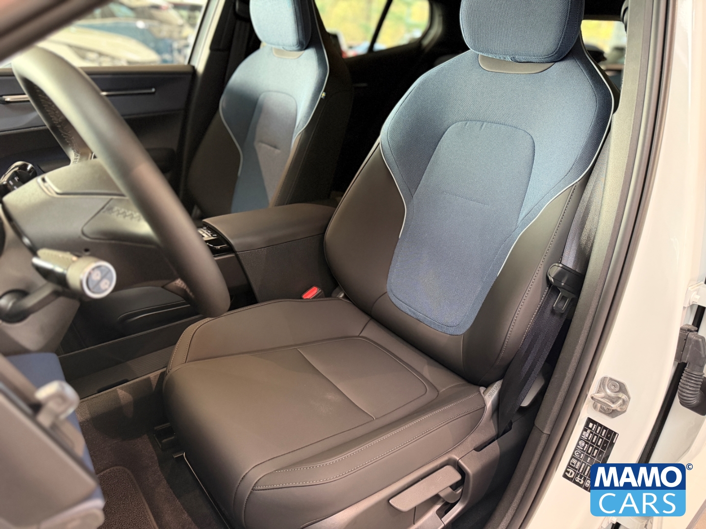 Fahrzeugabbildung Volvo EX30 Plus AWD TWIN Performance WP/ACC/BLIS/CAM