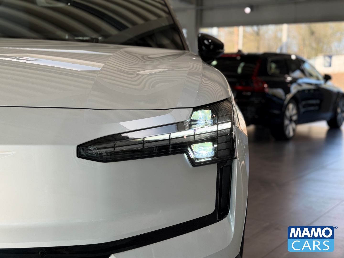 Fahrzeugabbildung Volvo EX30 Plus AWD TWIN Performance WP/ACC/BLIS/CAM