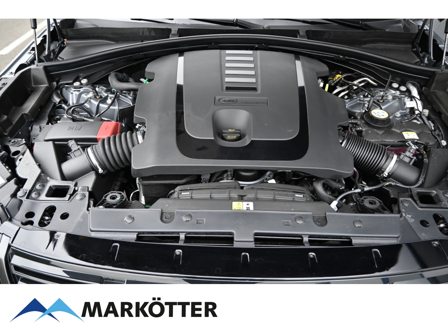 Fahrzeugabbildung Land Rover Range Rover Velar D300 Dynamic SE /S-Dach/Black-Pkt