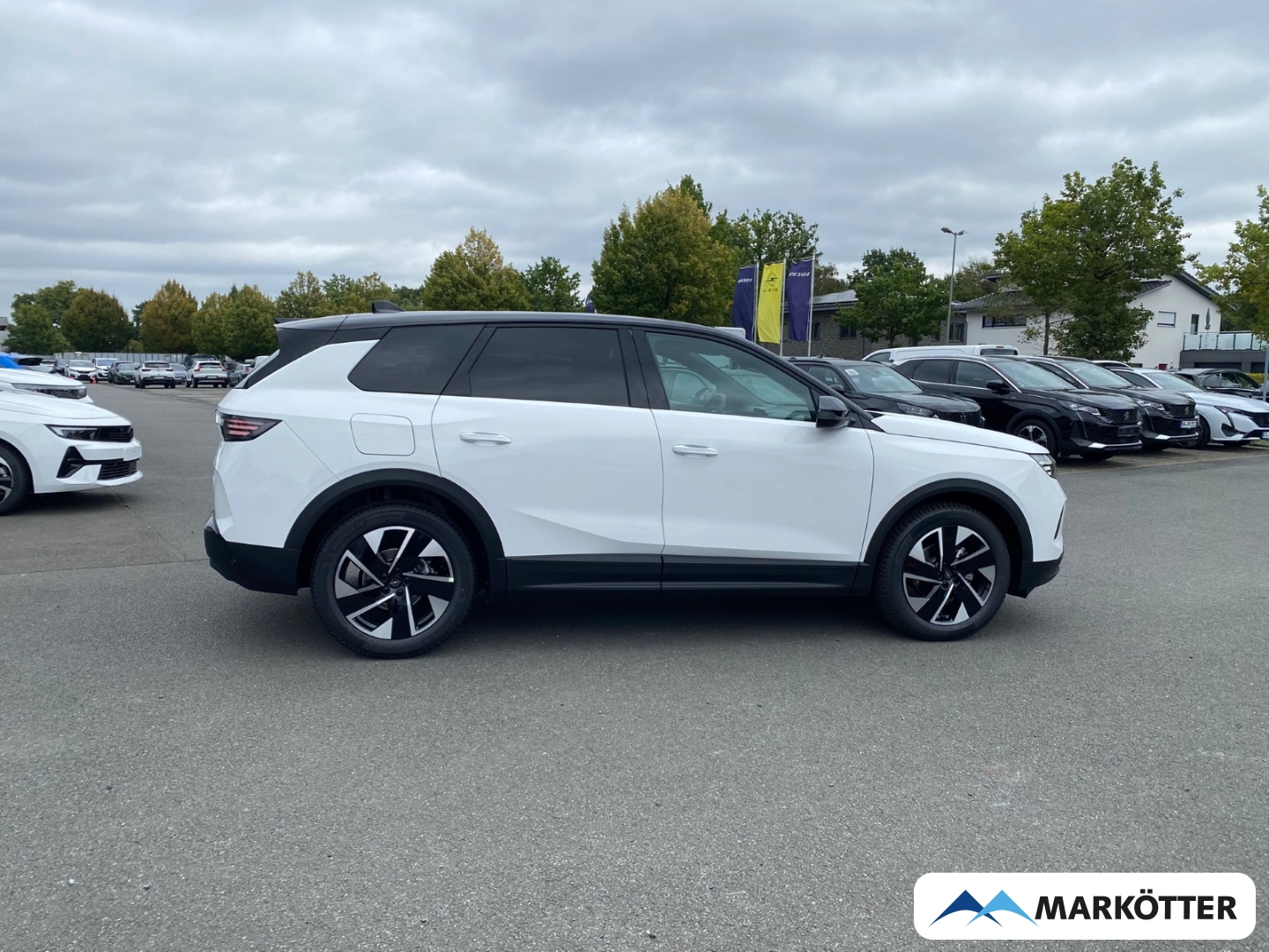 Fahrzeugabbildung Opel Grandland MHEV GS AHK/Allwetterreifen/Kamera/Navi